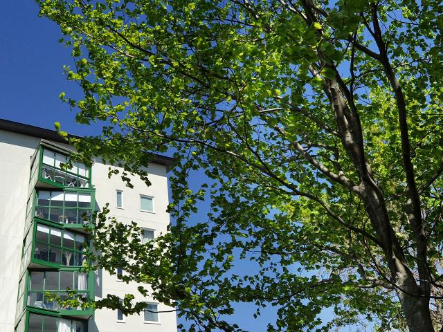 3 rums lägenhet i ÖRNSKÖLDSVIK 70 m² 11 396 kr