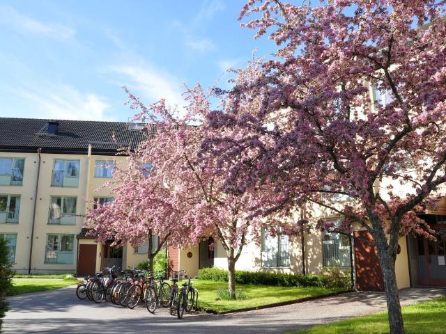 3 rums lägenhet i ÖREBRO 71 m² 8 844 kr