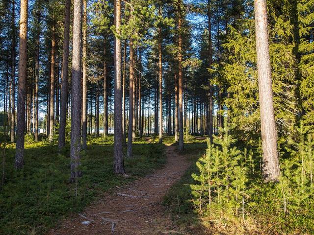 3 rums lägenhet i PITEÅ 78 m² 9 165 kr