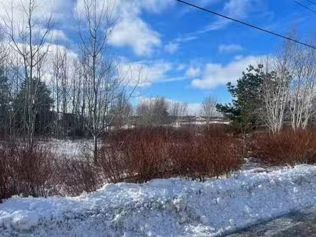 3 Russells Lane, Bay Roberts, NL, A0A 1G0 vacant land for sa.