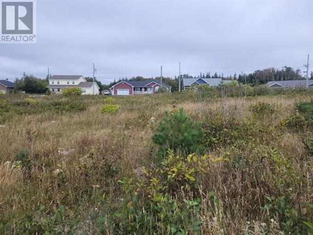 3 Ridgeview Avenue, Stephenville, NL, A2N 0B7 vacant land for sale | Listing ID 1296 | Royal LePage