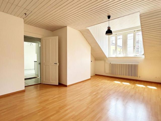 3½ ROOM APARTMENT NEAR ALL AMENITIES