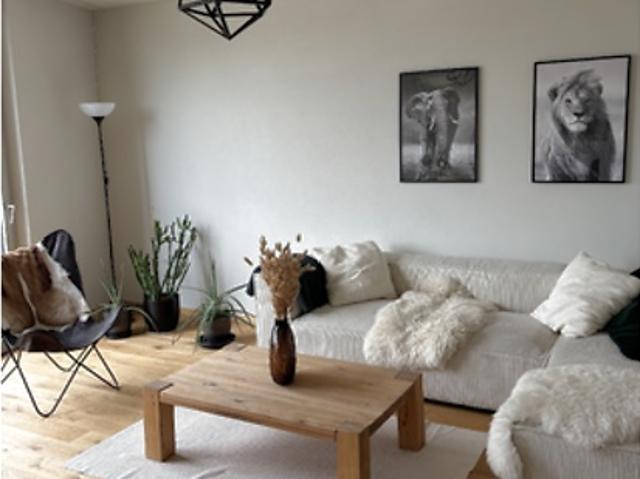 3½ room apartment in Biel/Bienne BE, furnished, temporary