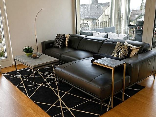 3½ room apartment in Hedingen ZH, furnished, temporary