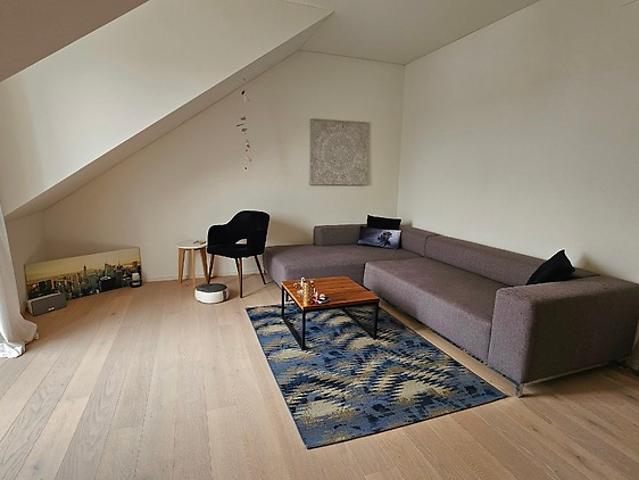 3½ room apartment in Schneisingen AG, furnished, temporary