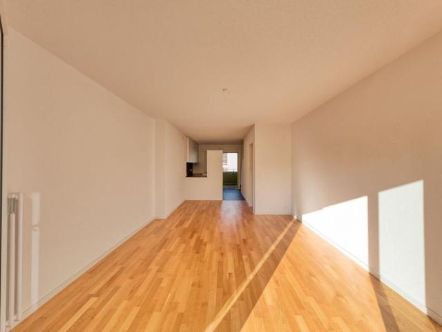3 room duplex apartment with 2 balconies