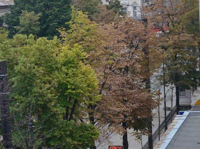 3 rooms apartment for rent downtown Iasi Iasi Blv.Stefan the Great