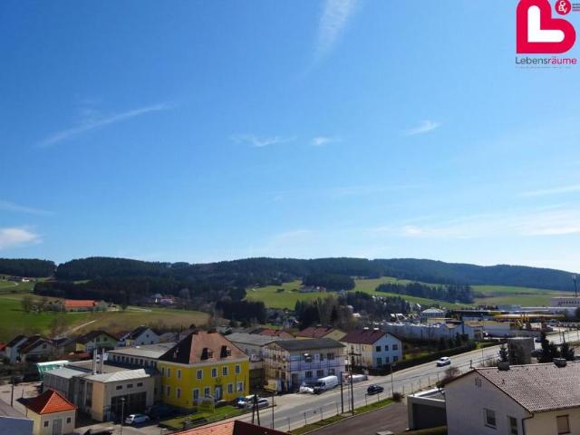 3 Schlafzimmer Wohnung Oberösterreich Oberösterreich 104785968