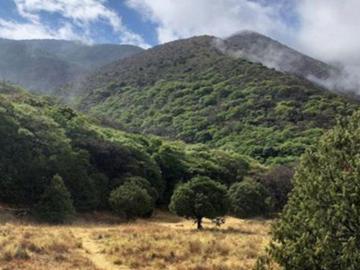 3 Terrenos Campestres en VENTA en Ejido El Diamante