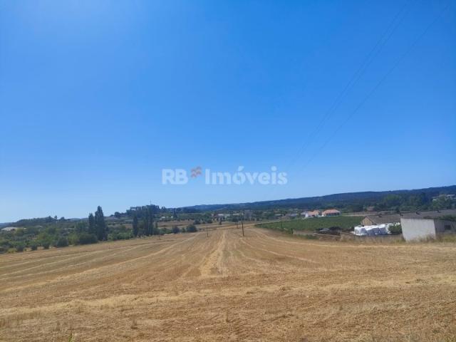 3 Terrenos Rústicos com área total de 18.880m2 Cabeças, Tomar