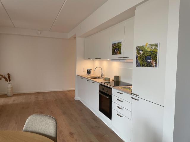 3 værelses lejlighed på 103 m²