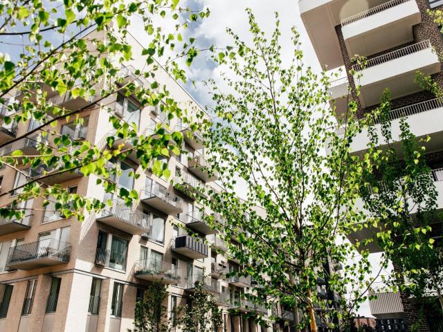 3 værelses lejlighed på 77 m²