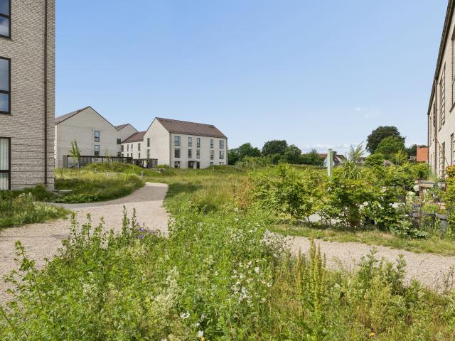 3 værelses lejlighed på 81 m²
