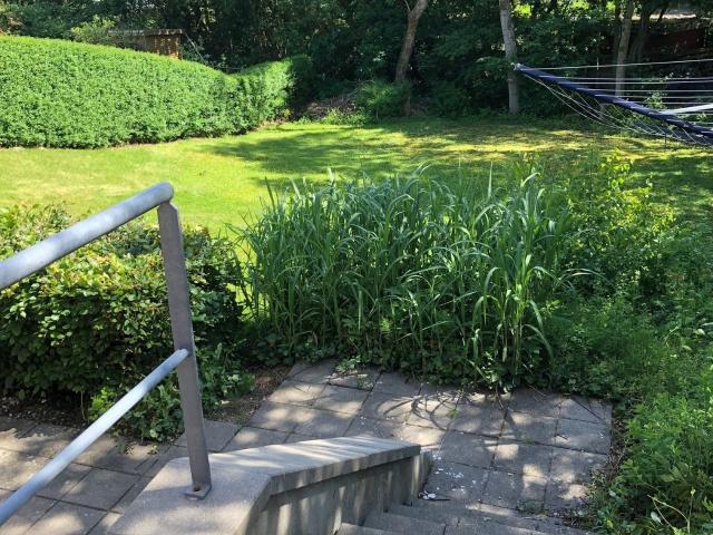 3 værelses lejlighed på 83 m²