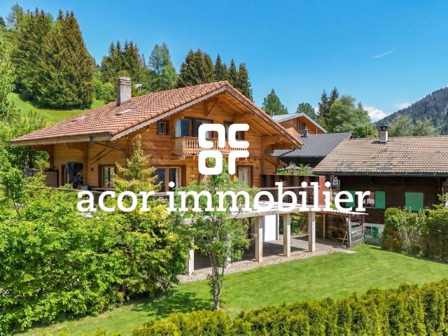 3 WOHNUNGS CHALET SKI IN/SKI OUT