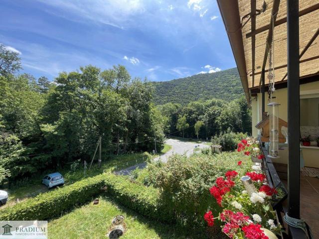 Alle unter einem Dach Mehrfamilienhaus mit 3 Wohneinheiten auf über 180m2!