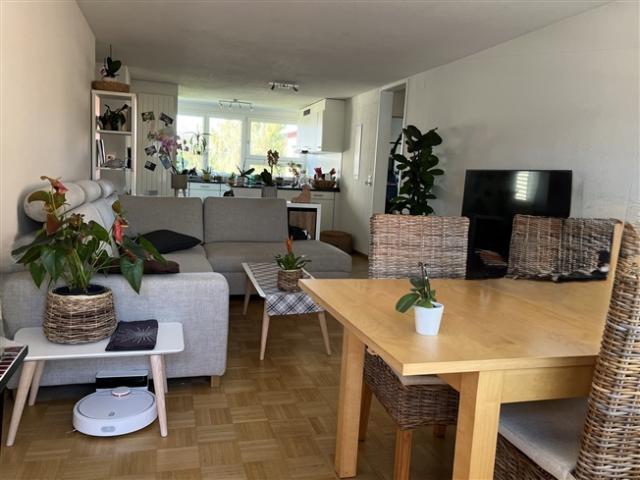 3½ ZI WOHNUNG IN EFFRETIKON ZH, MÖBLIERT, TEMPORÄR