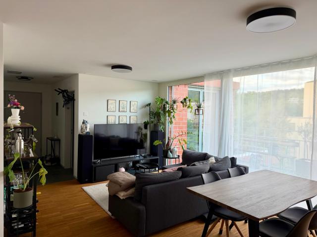 3½ ZI WOHNUNG IN ZÜRICH KREIS 12 HIRZENBACH, MÖBLIERT, TEMPORÄR