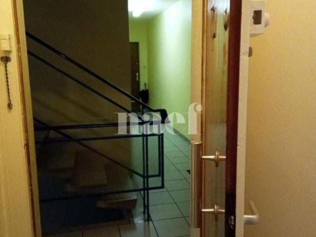 3 Zimmer, 40 m², EG