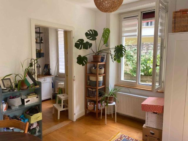 3 Zimmer, 45 m², EG
