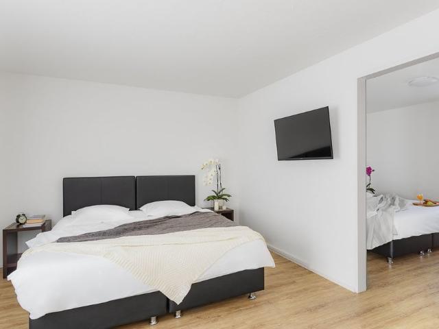 3 Zimmer, 45 m²