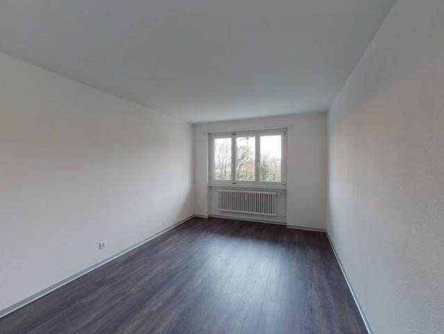 3 Zimmer, 53 m², 1. Stock
