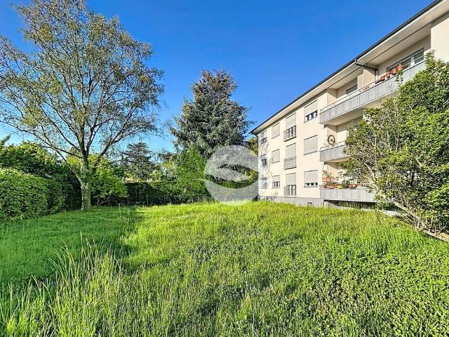 3 Zimmer, 50 m², 2. Stock