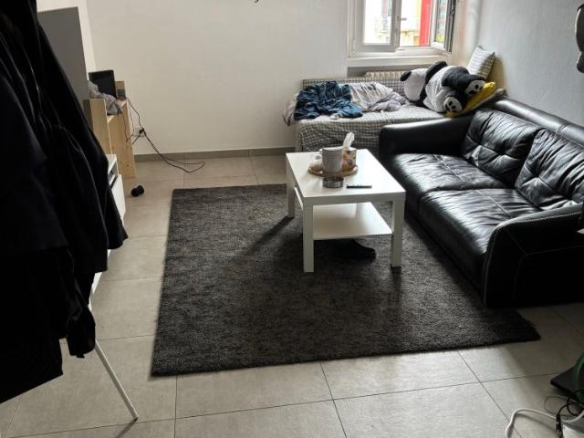 3 Zimmer, 50 m²