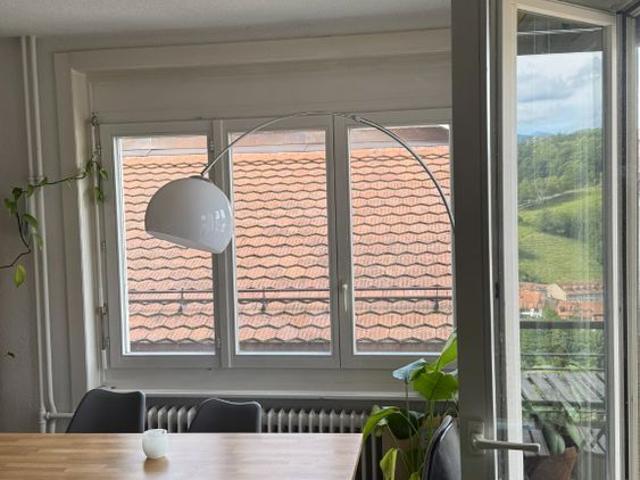 3 Zimmer, 55 m²