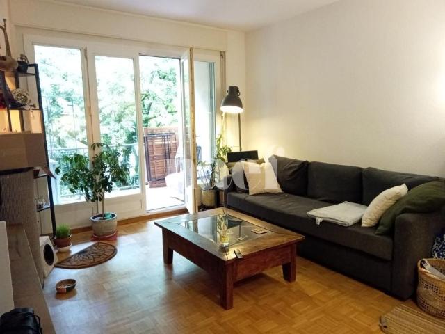 3 Zimmer, 56 m², 1. Stock