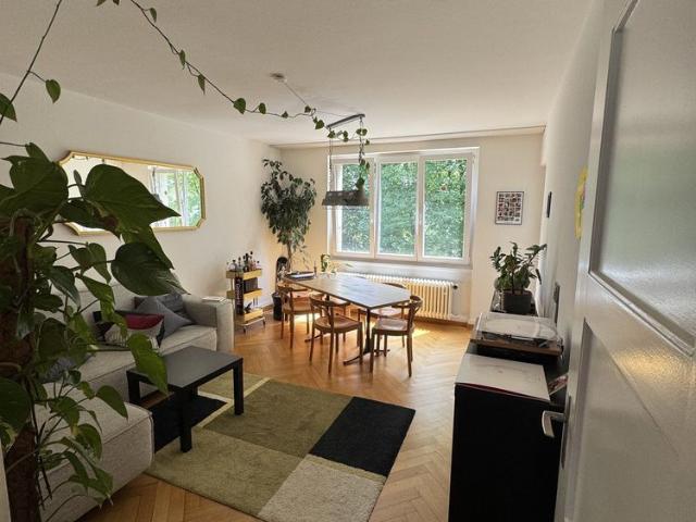 3 Zimmer, 56 m², 2. Stock