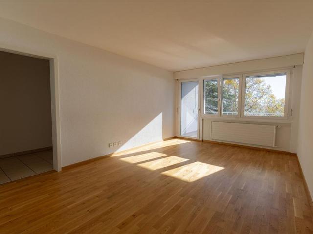 3 Zimmer, 62 m², EG