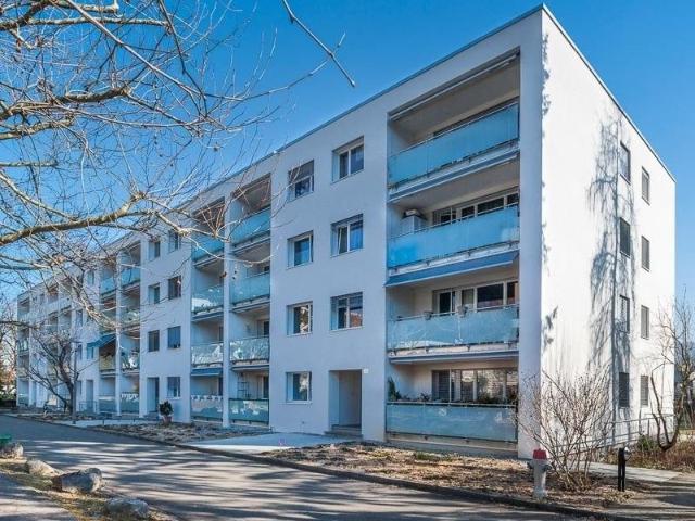 3 Zimmer, 67 m², 1. Stock