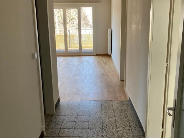 3 Zimmer, 65 m², 1. Stock