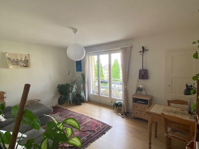 3 Zimmer, 65 m²