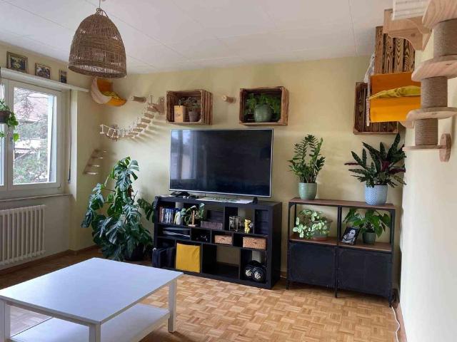3 Zimmer, 66 m², 4. Stock