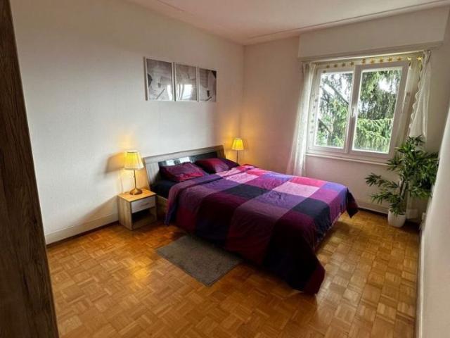 3 Zimmer, 70 m²