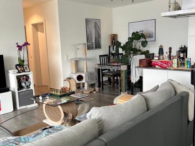 3 Zimmer, 71 m²