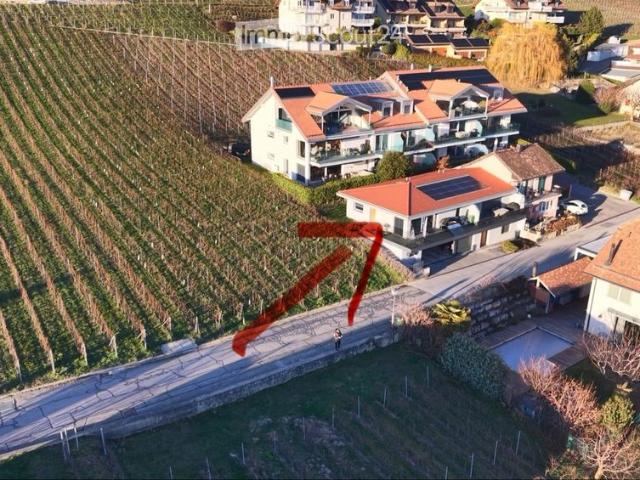 3 Zimmer, 77 m²