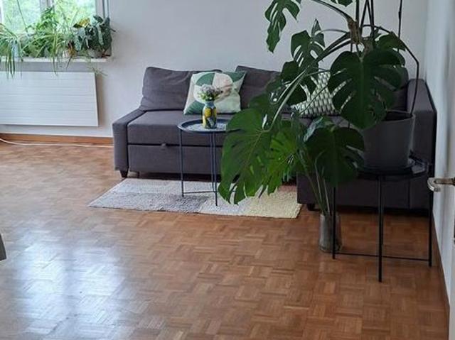 3 Zimmer, 75 m², 2. Stock