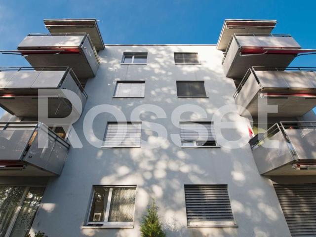 3 Zimmer, 78 m², 1. Stock