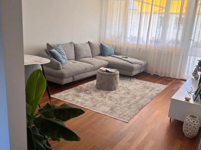 3 Zimmer, 80 m²