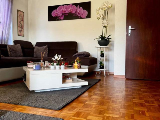 3 Zimmer, 80 m²