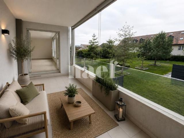 3 Zimmer, 81 m², 1. Stock