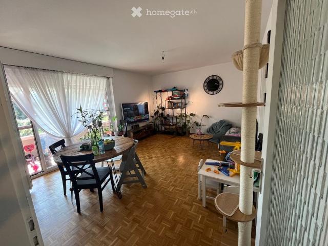 3 Zimmer, 89 m²