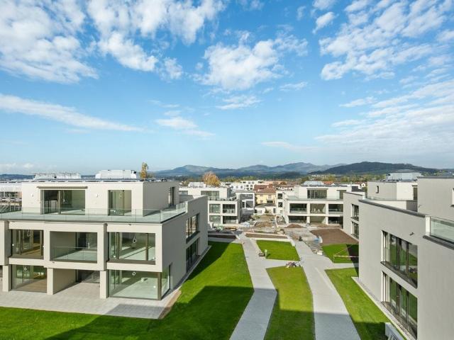 3 ½ Zimmer Wohnung in Galgenen mieten