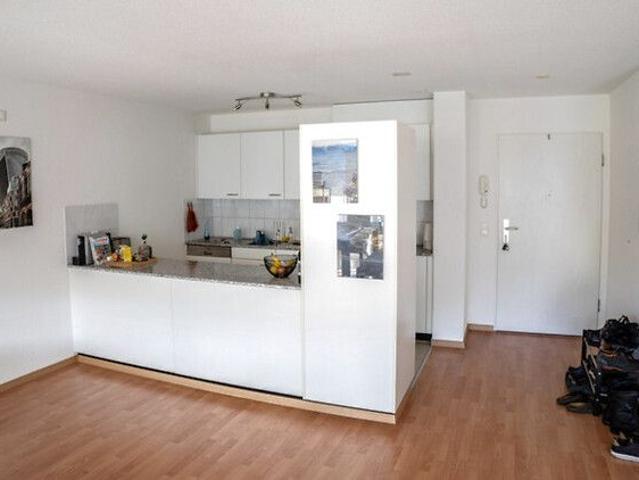 3½ Zimmer Wohnung in Winterthur, möbliert, auf Zeit