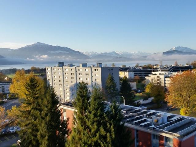 3 ½ Zimmer Wohnung in Zug mieten