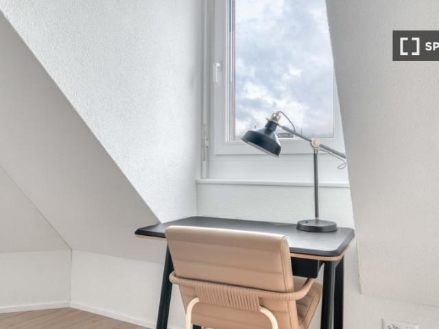3 Zimmer Wohnung in Zürich zu vermieten