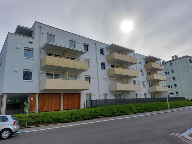 3 Zimmer Wohnung samt Küche und Balkon Nähe JKU zu vermieten